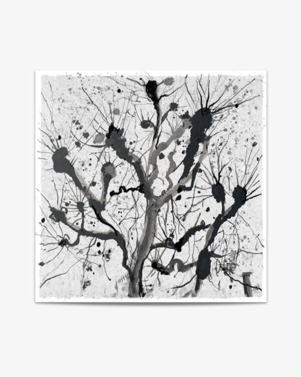 Winter Trees